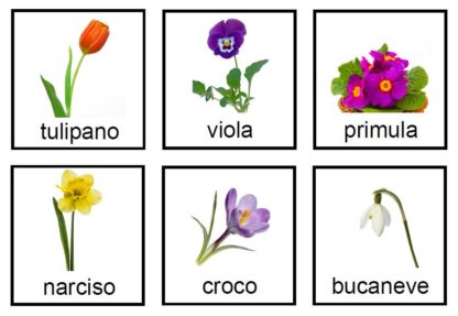 Carte Delle Nomenclature Dei Nomi Dei FIORI In ITALIANO - Montessori 4 ...